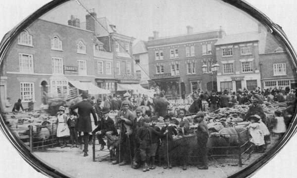Sheep fair on Market Square c1896